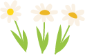 193355mzhwz8v2v8008oby.png