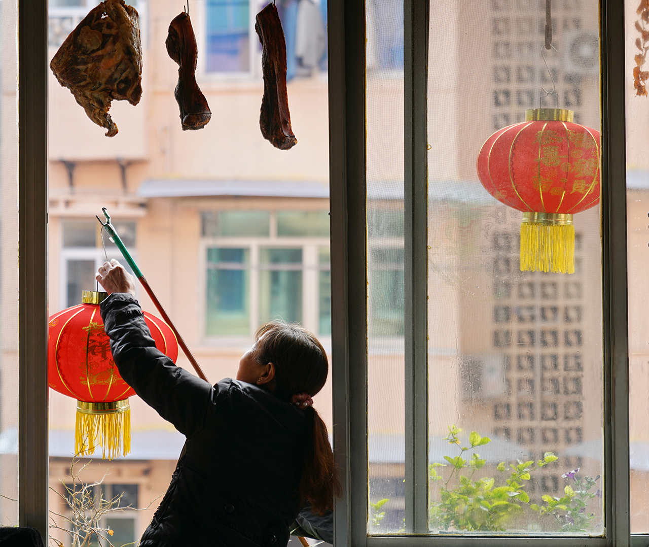 web《张灯》吴逝冰13882566186.jpg