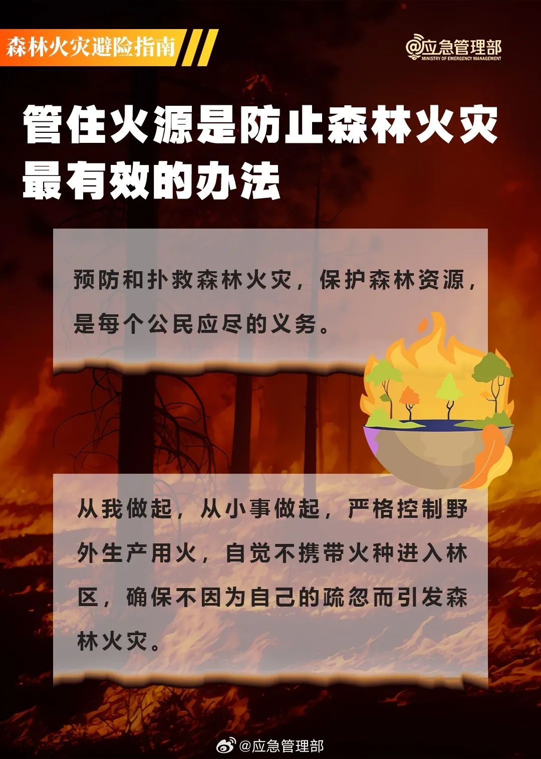 172901tbbxhb6xm1c4mbm6.jpeg