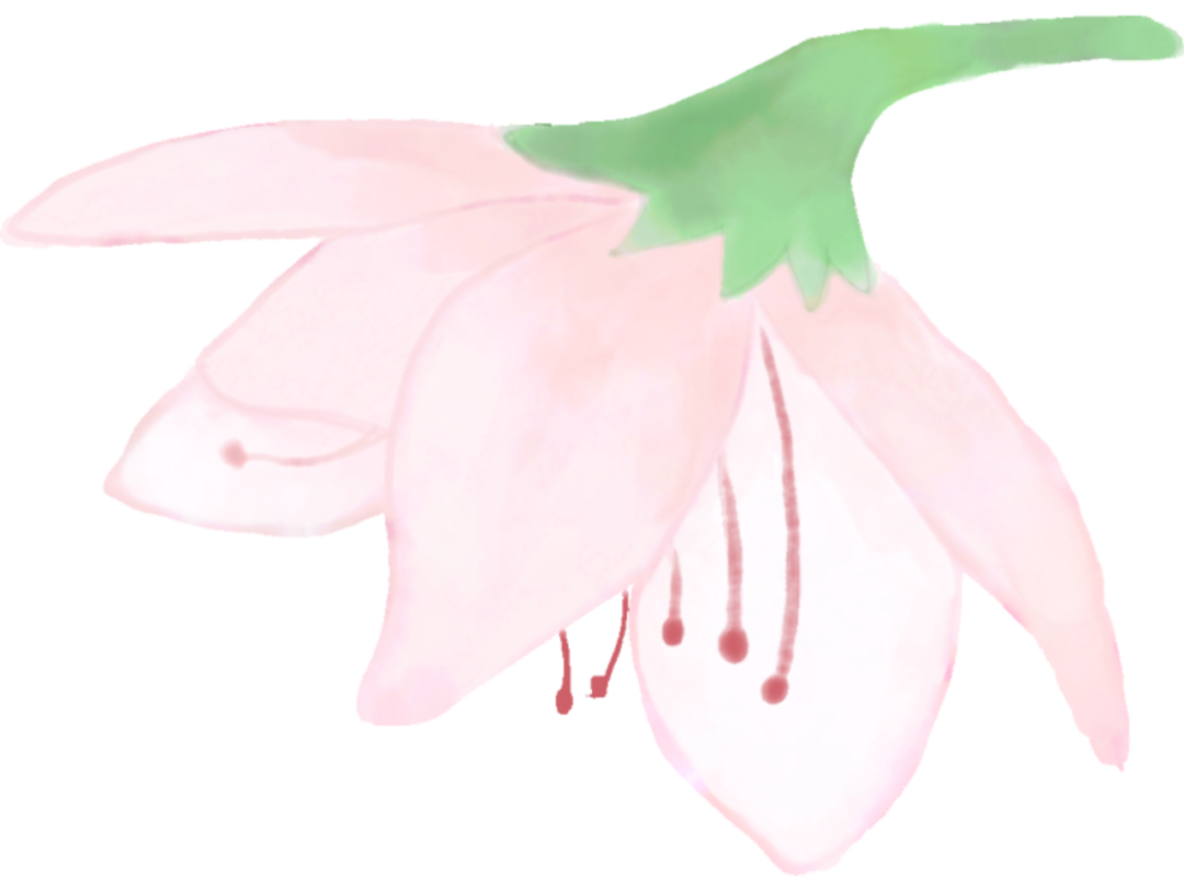 085445hj2g2whjgj4jazxr.png