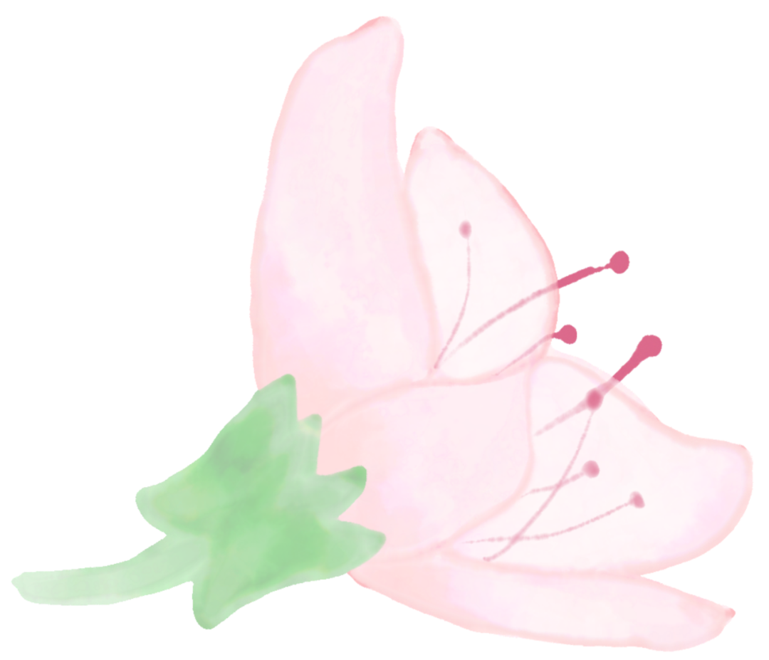 085446yrjc1ab6a4tdrvhc.png
