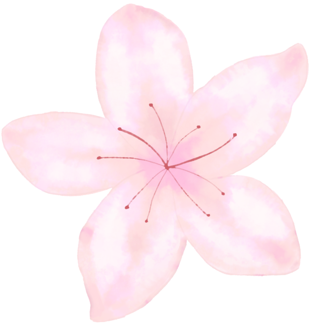 085449s4vkjeqbr4rqbrqb.png
