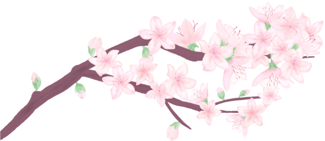 085458a5wk73bqbibw7qq1.png