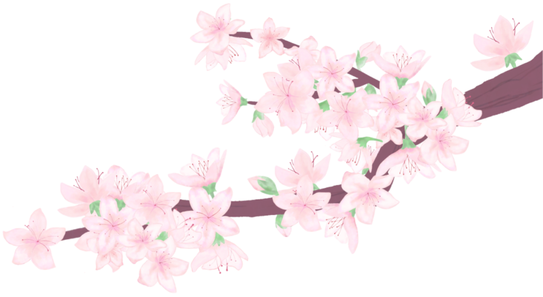 085500nnygyyed8ugudynf.png