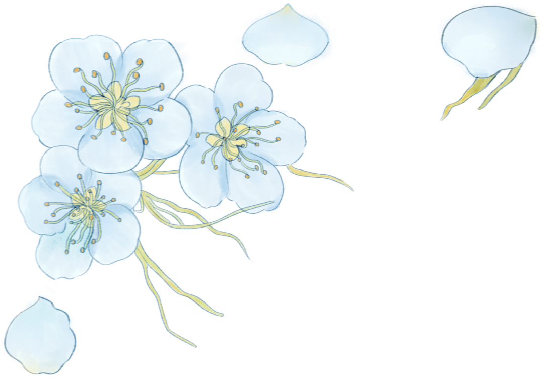 161736mc57mxugj90nbu9b.png