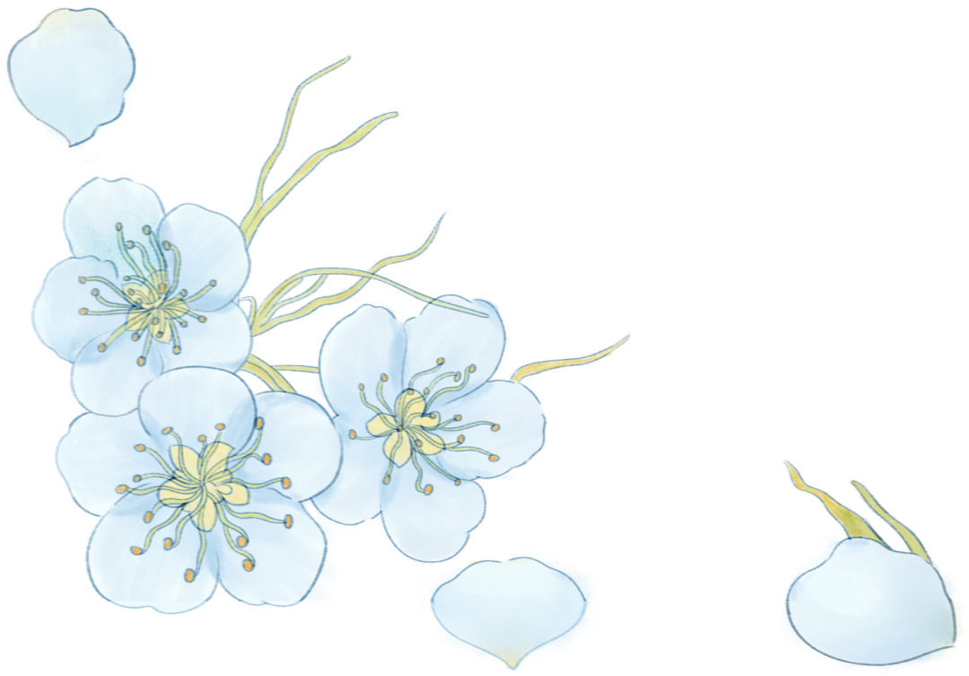 161737llq7sqkh8k7z5shs.png