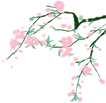 145037e5omtmxxxei5c4v5.png