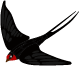 145040qln51v1eavwuv51e.png