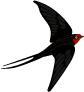 150155udo7ud9o4nda9kn0.png