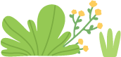 090937splmlnffypp2md92.png