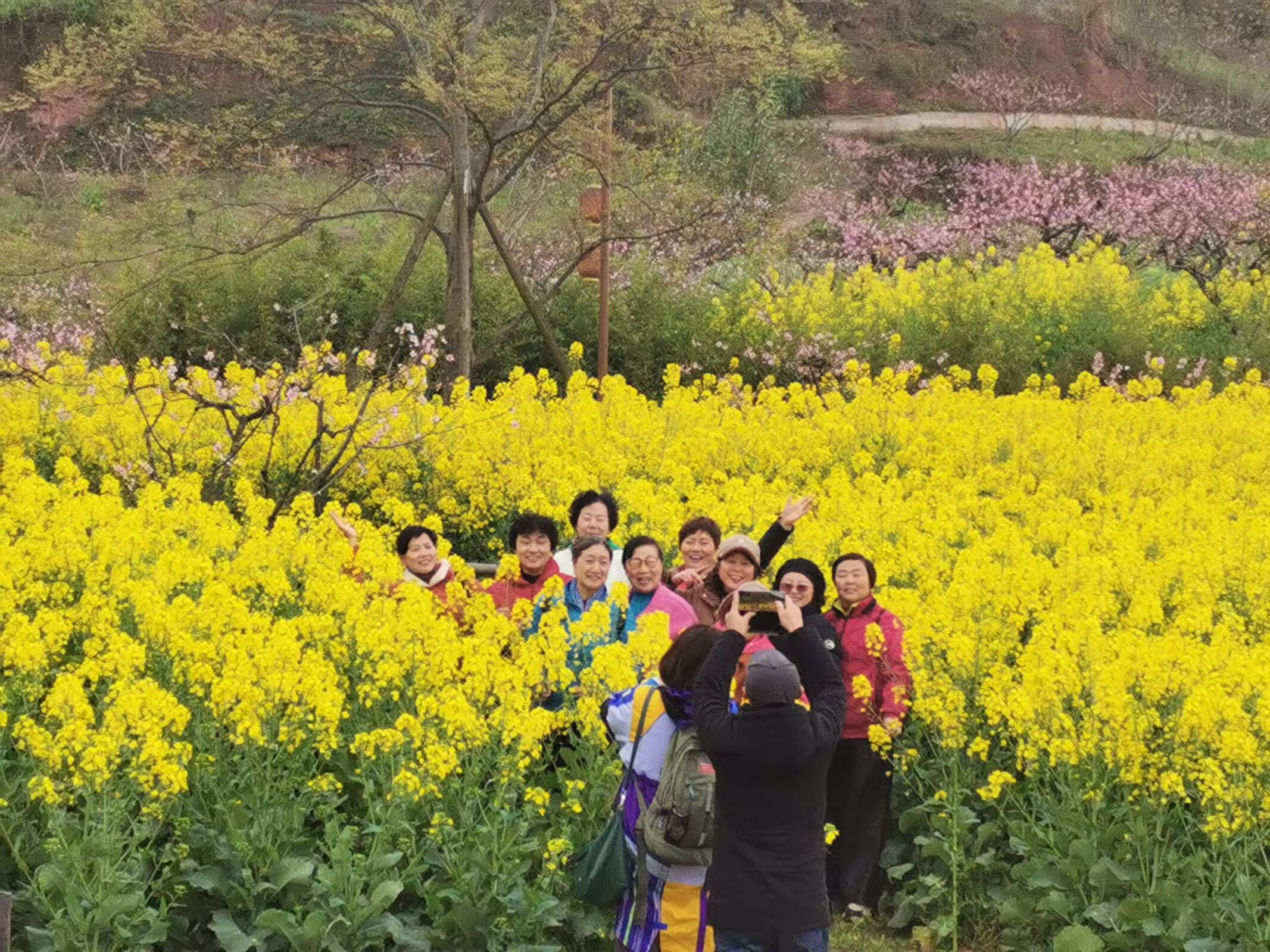 阿芳-大英的春色Image_718311828742995.jpg