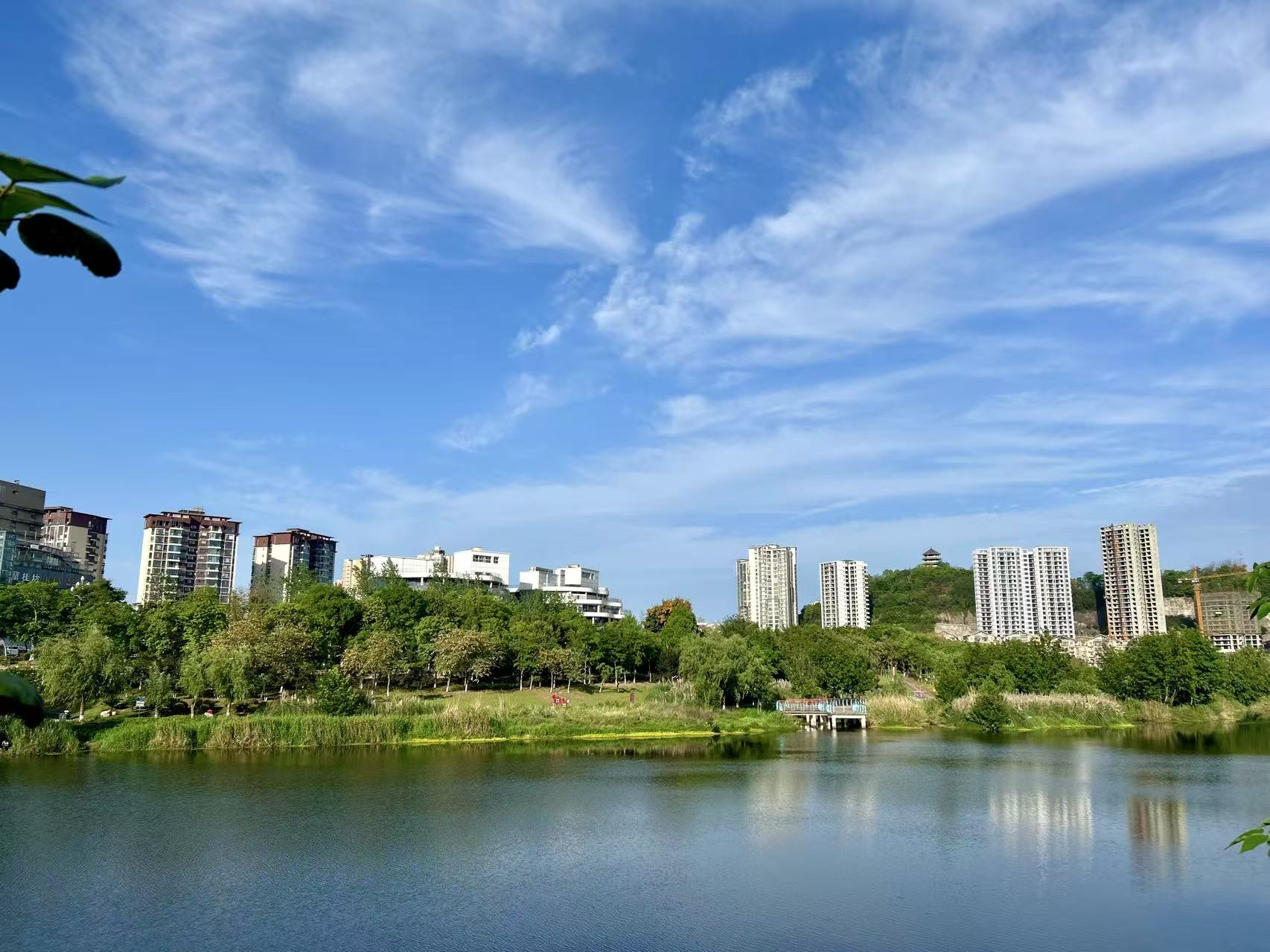 向贵康 湖光春韵 17318281095 大英县.jpg