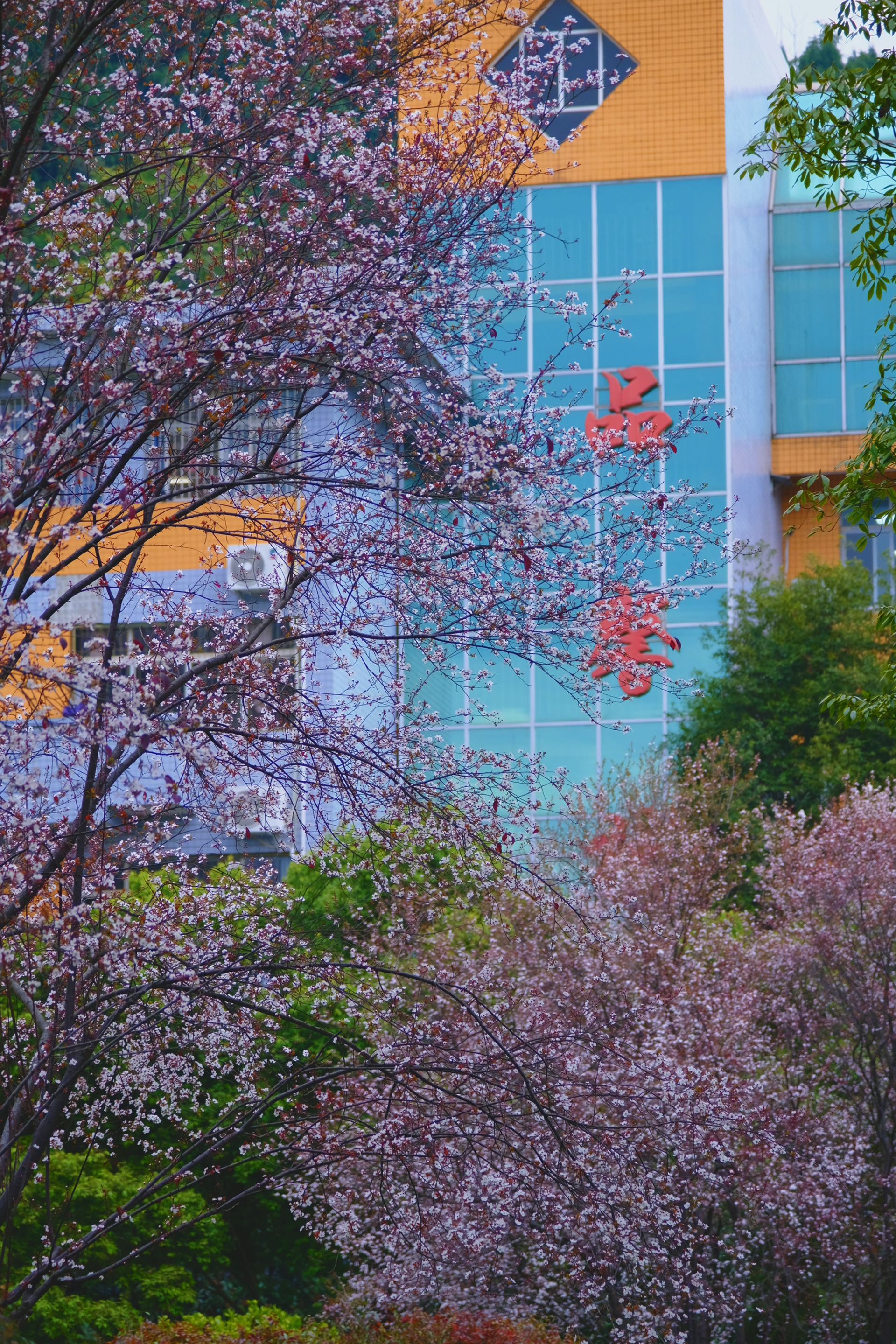 web刘雨嘉＋《春》＋15328528082 大英中学1.jpg
