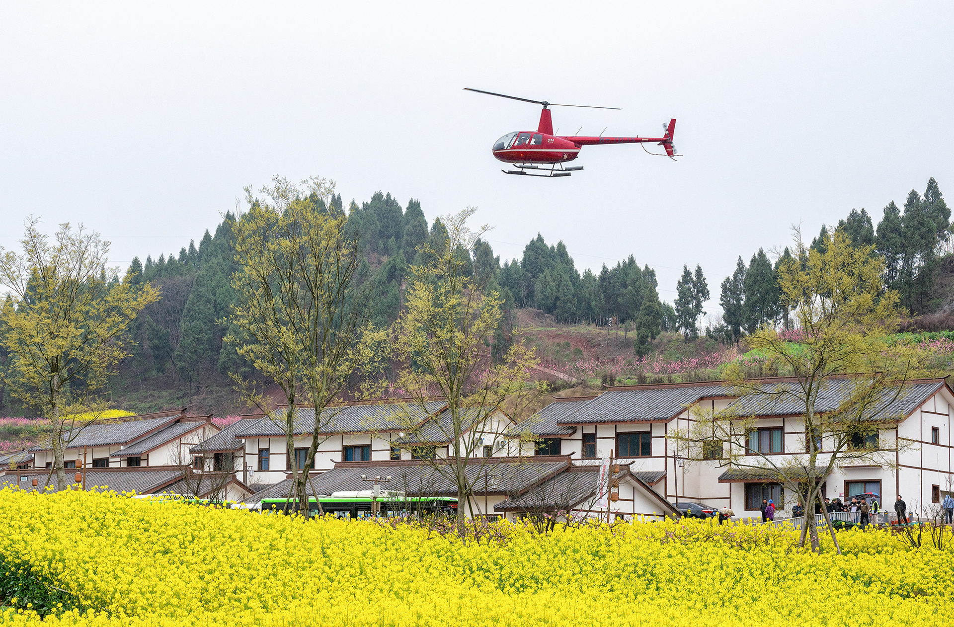 web杜睿嘉 低空赏花 15982014785 摄于2025.3.16宋井桃源第六届桃花美食春游季活动启动仪式.jpg