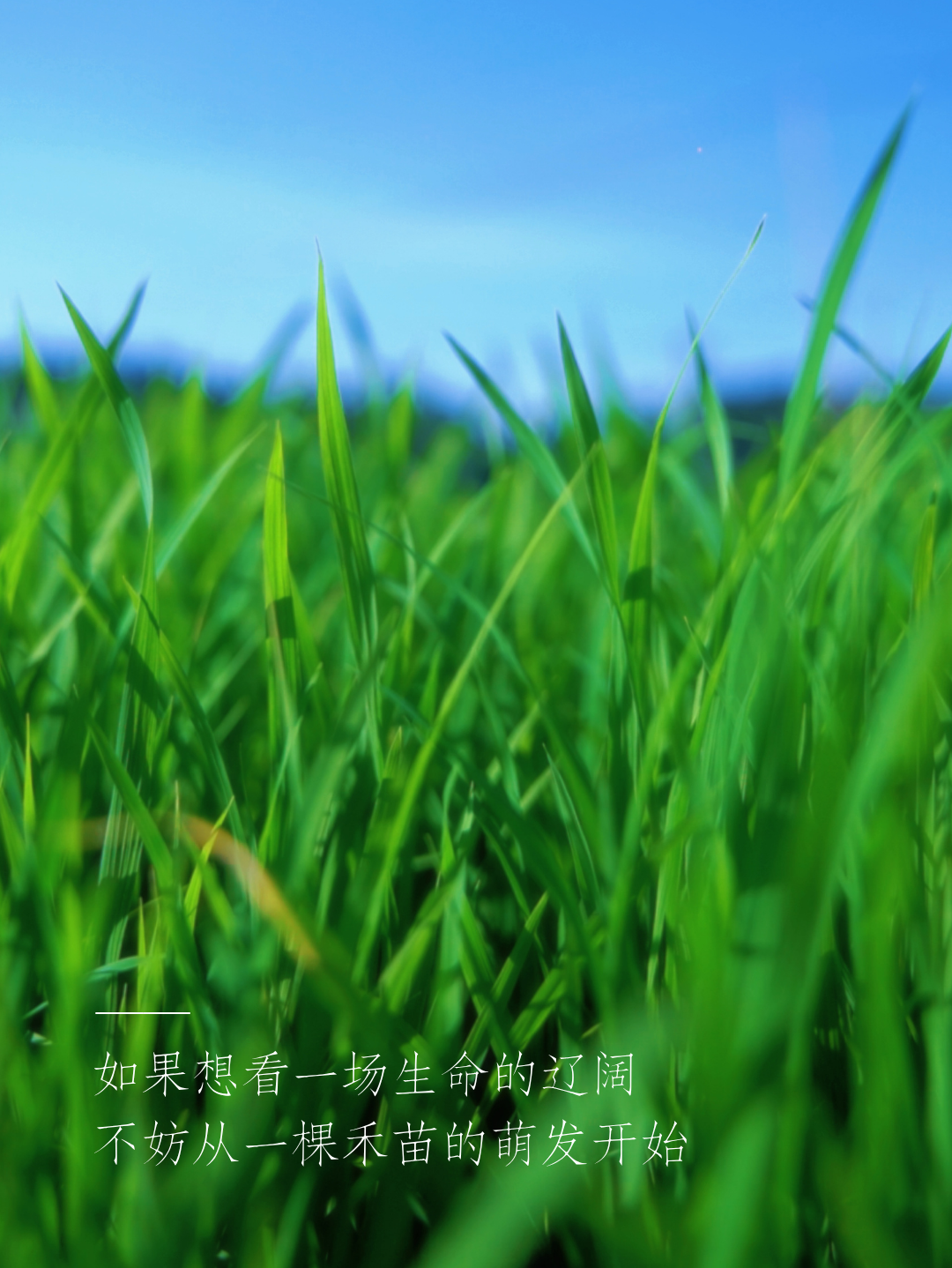 104039lqnqmrm5jk7urj5y.png