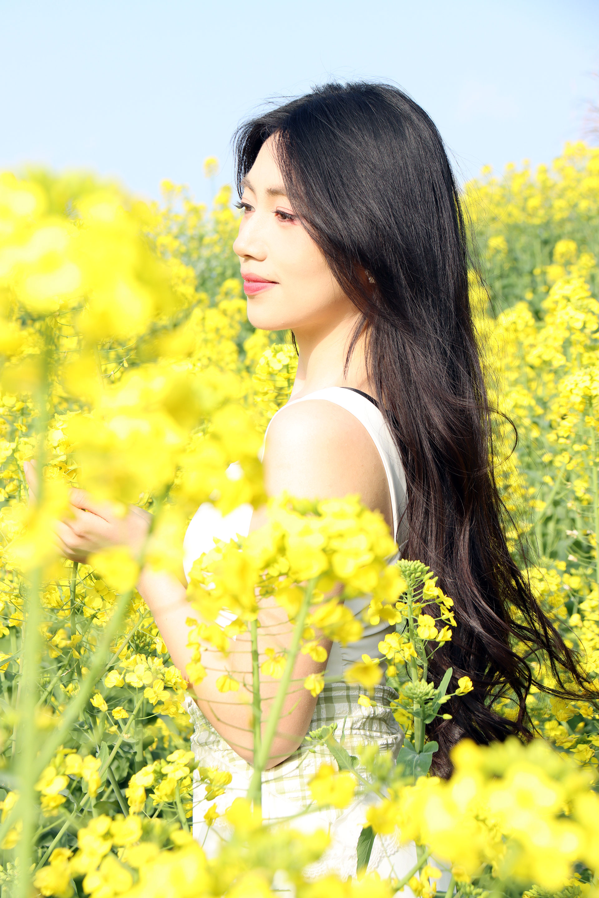 web钱娇＋金色织梦：体育广场油菜花海纪IMG_2254.jpg