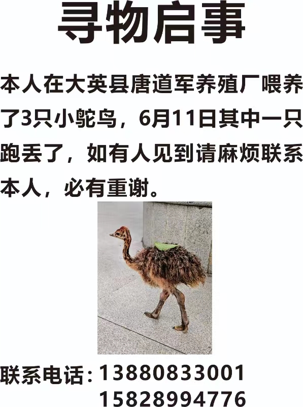 微信图片_20250617084506.jpg