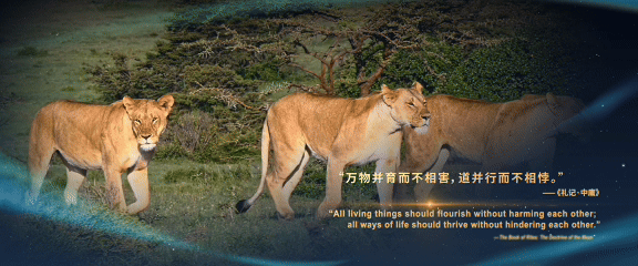 111358jh3l34337hzx6z12.gif