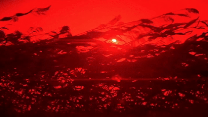 165345frlggggdoag3gdia.gif