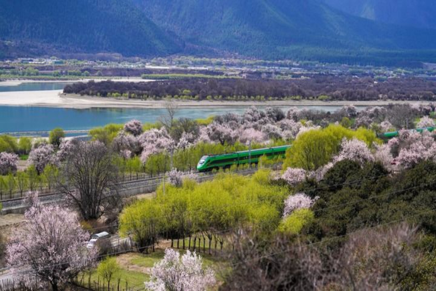 165436b7hshiaiahhqwea3.png 165436b7hshiaiahhqwea3.png